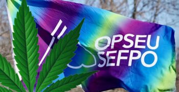 Union Warns of Possible Ontario Cannabis Store Labour Action as Negotiations Continue