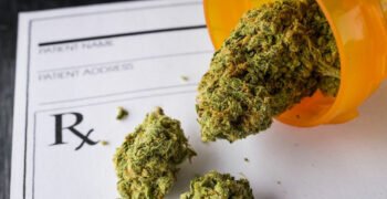 Opioid Overdoses Decrease Following Marijuana Legalization