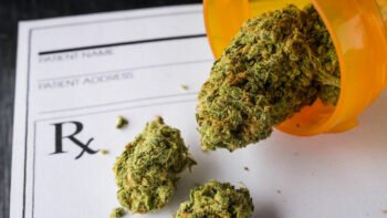 Opioid Overdoses Decrease Following Marijuana Legalization