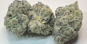 The Local Noze: Watermelon Hurricane by West Coast Weedery