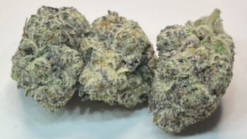 The Local Noze: Watermelon Hurricane by West Coast Weedery