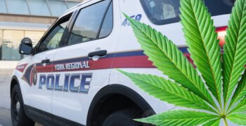 Toronto Police Corruption Investigation Uncovers Alleged Cannabis ‘Dispensary Conspiracy’