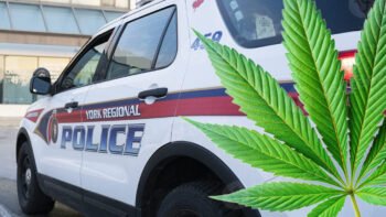 Toronto Police Corruption Investigation Uncovers Alleged Cannabis ‘Dispensary Conspiracy’